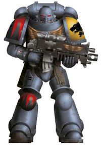 SWProfilePrimaris.jpg